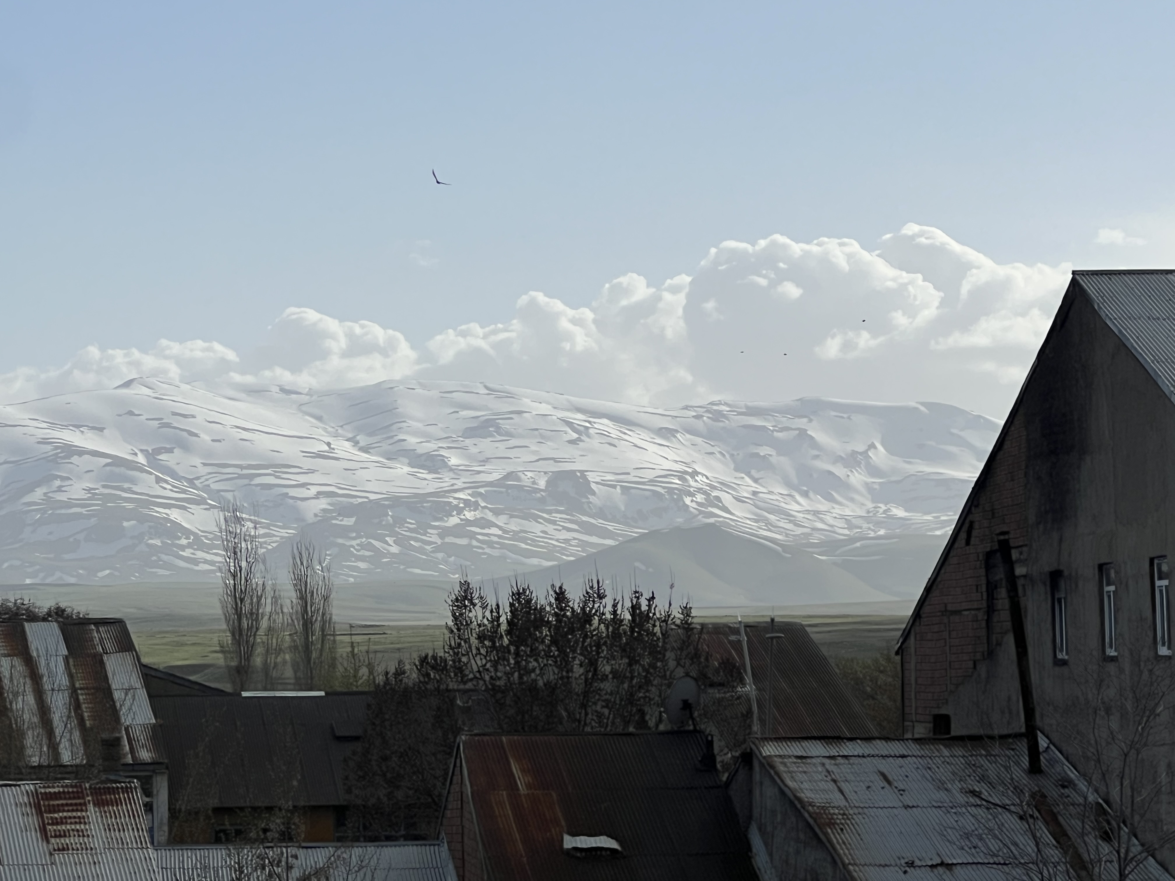 yasar4939