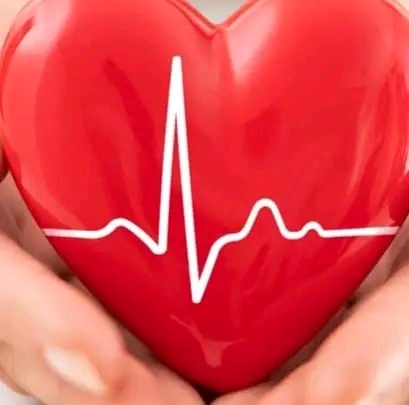 The heart