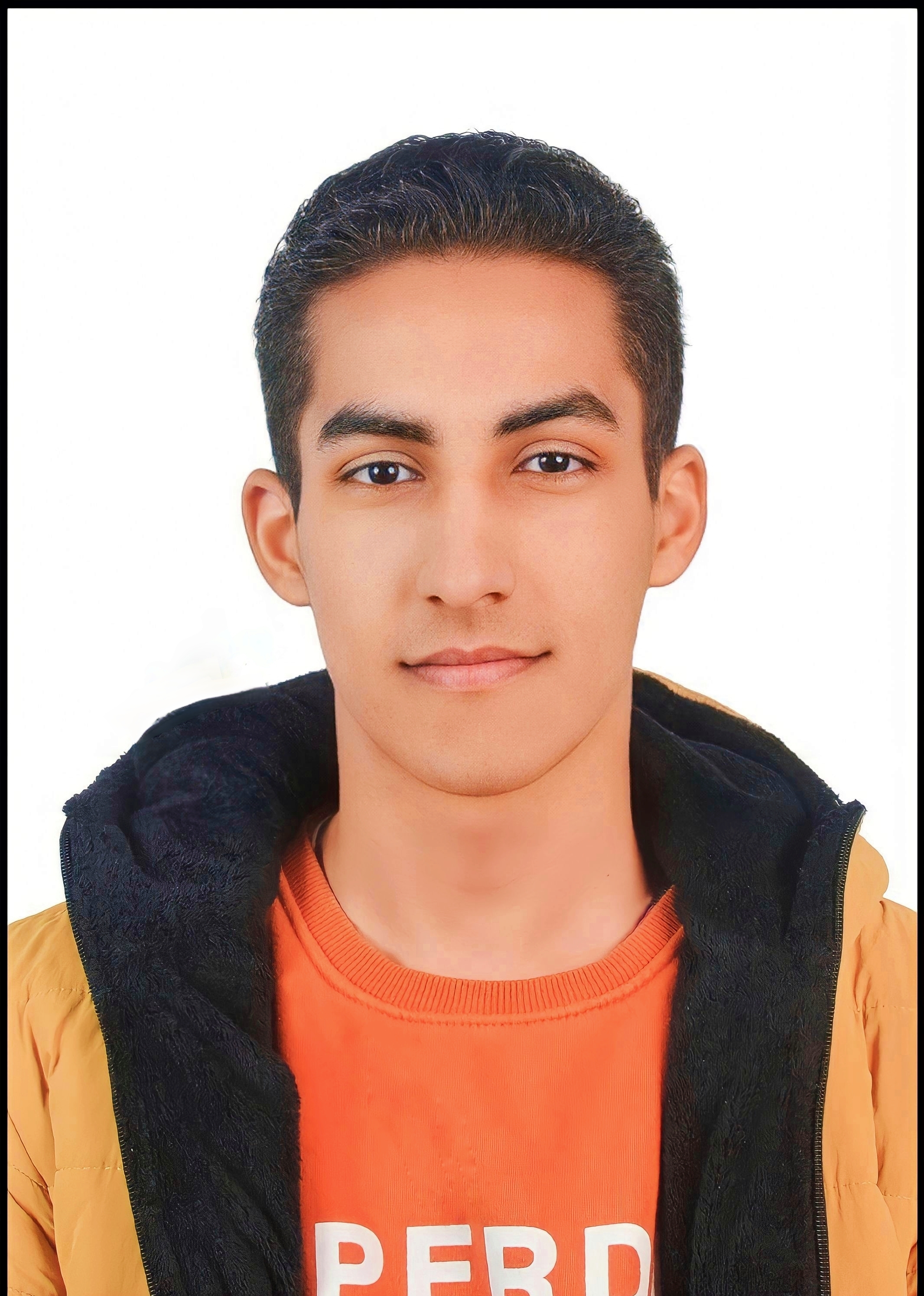 Mohamed Atef Mohamed Moselhy Elasalouty 