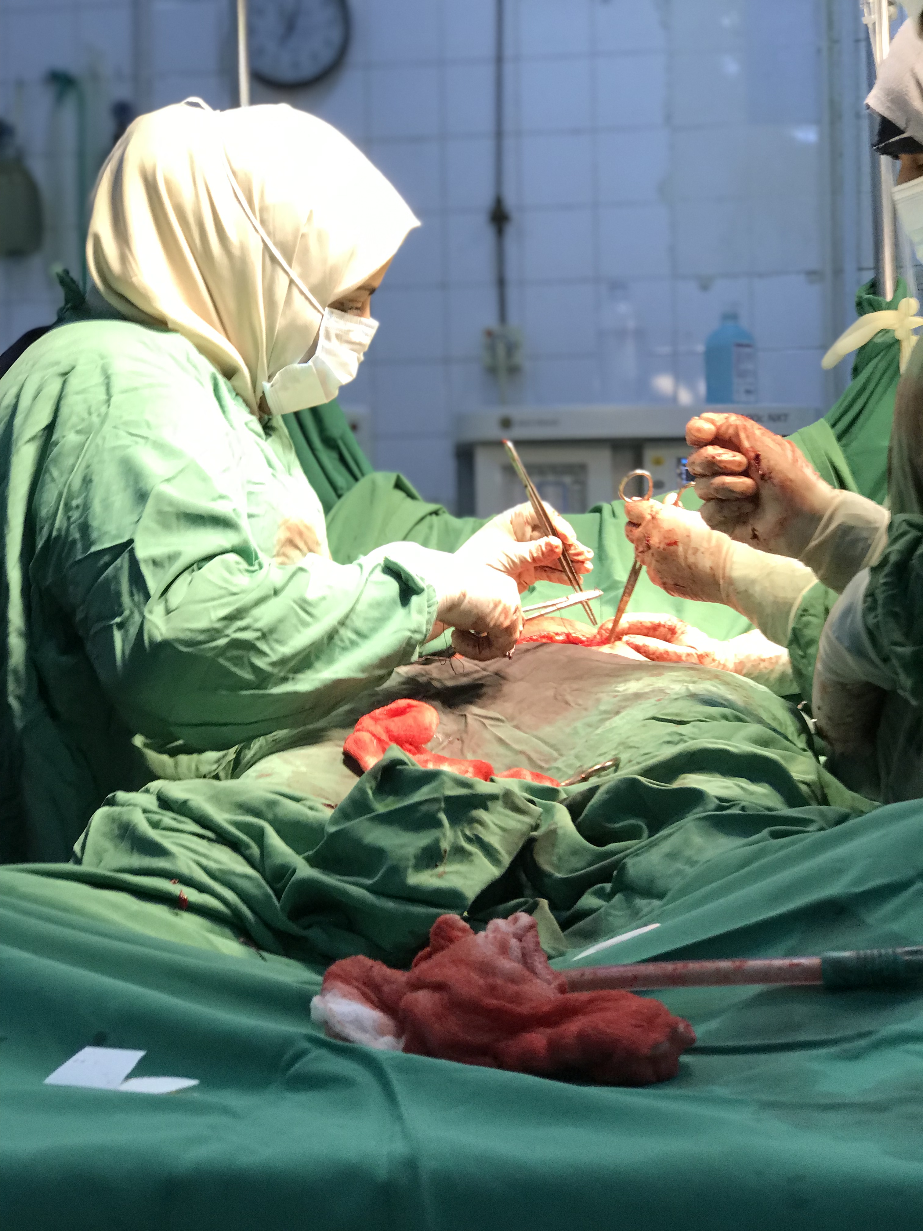 Dr. Sondos Abdullah Zeherah